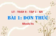 Bậc của đơn thức, Đơn thức thu gọn và Đơn thức đồng dạng là gì? Ví dụ? Toán 8 bài 1 kn1c1b1